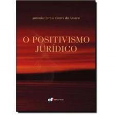 O positivismo jurídico